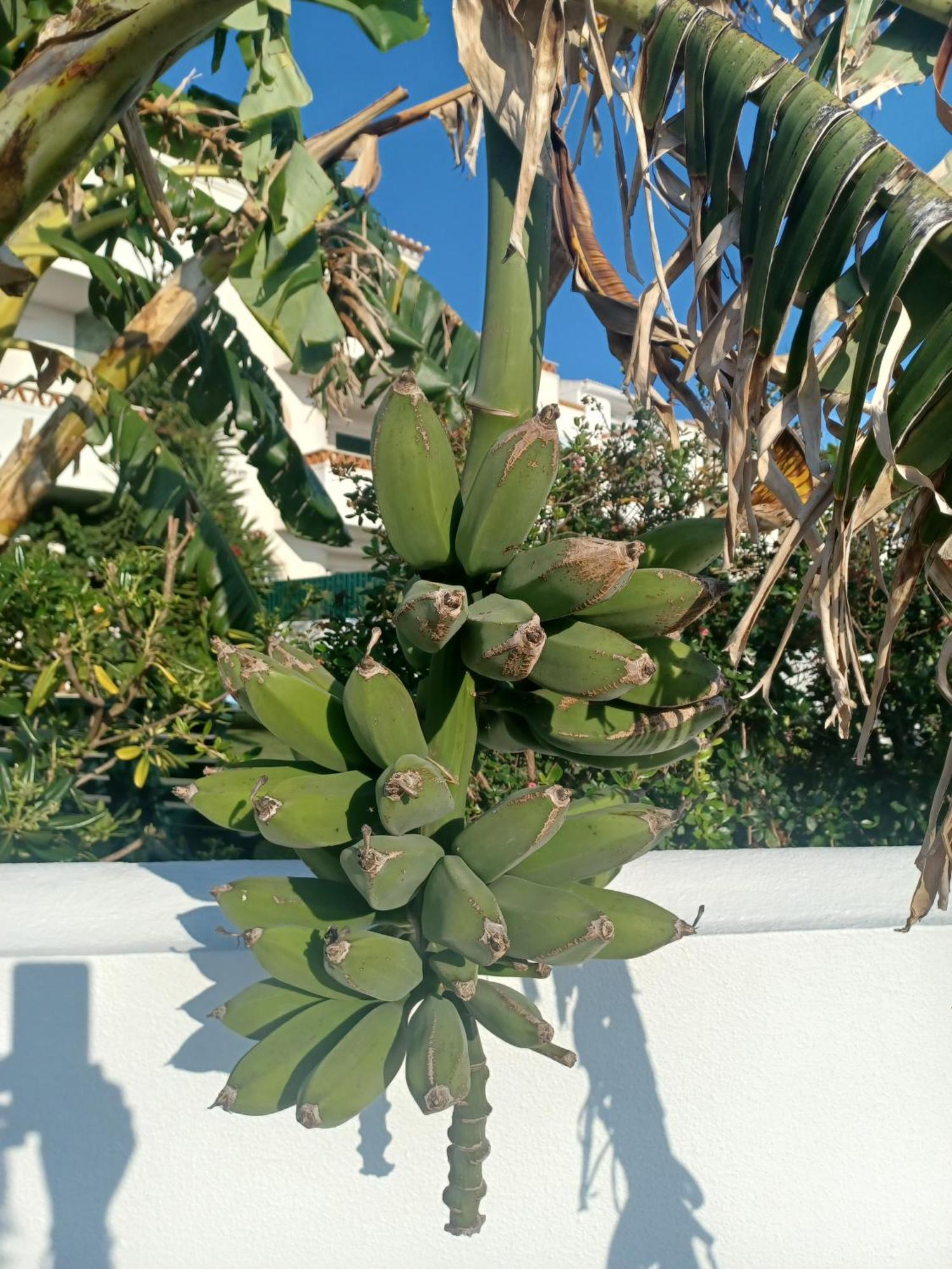 Ericeira Su Villa'S Bagian luar foto
