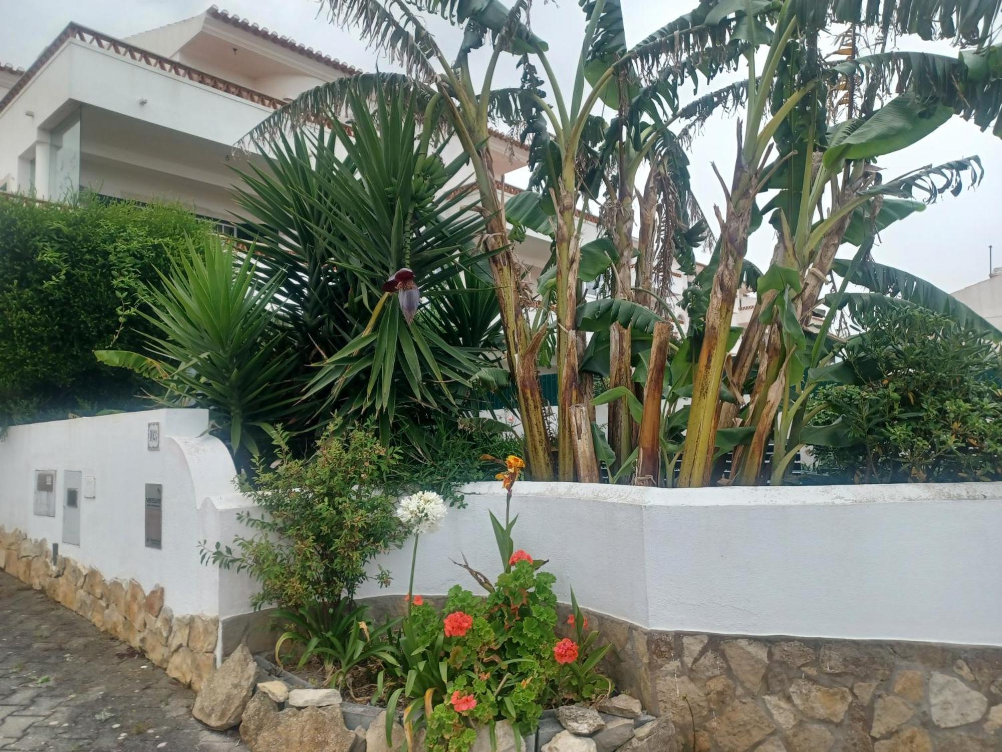 Ericeira Su Villa'S Bagian luar foto
